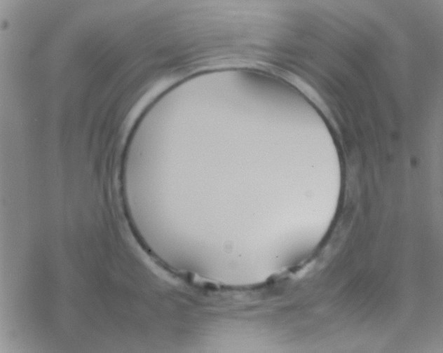 X0000076251197200610261932