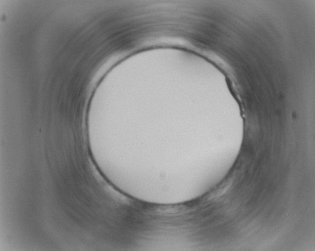 X0000076251199200610261932