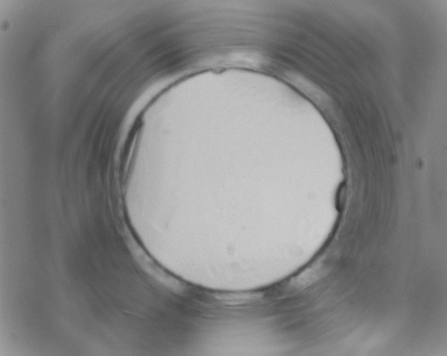 X0000076251200200610261932