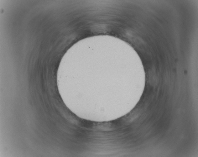 X0000076251201200610261931