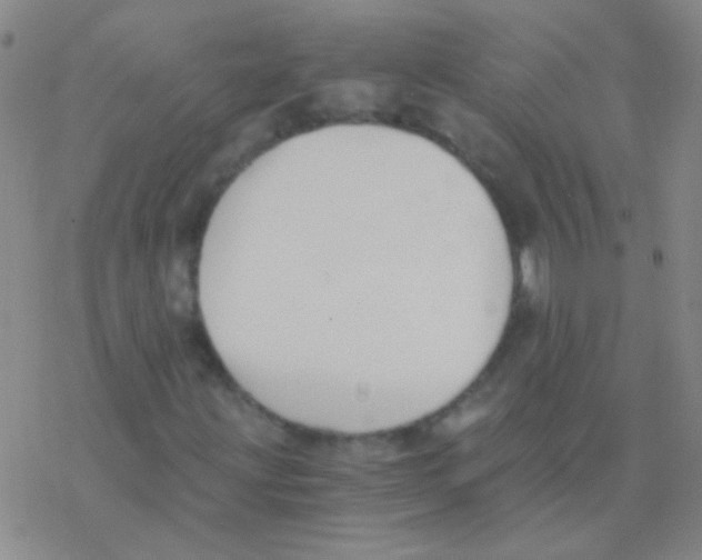 X0000076251203200610261932