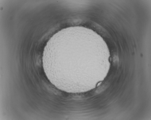 X0000076251204200610261932