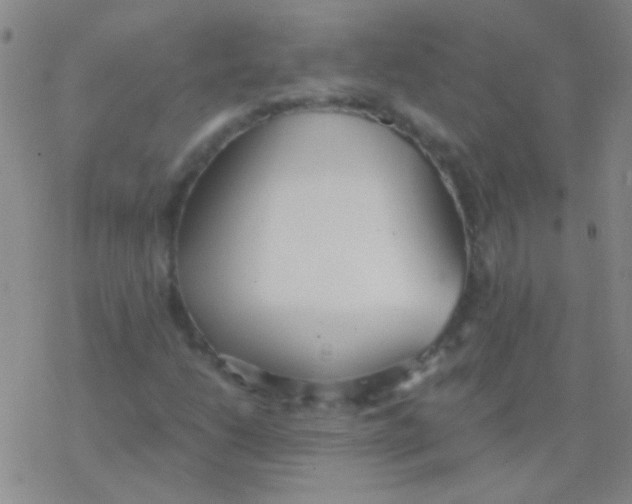 X0000076251206200610261932