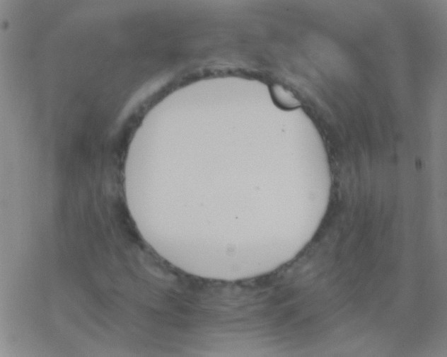 X0000076251207200610261932