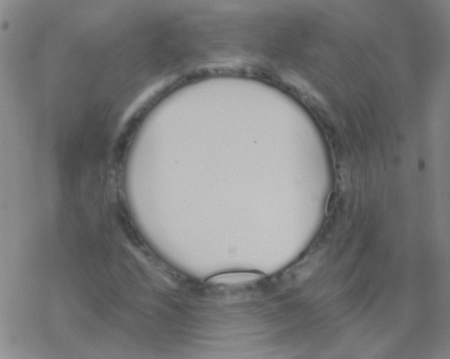 X0000076251208200610261932