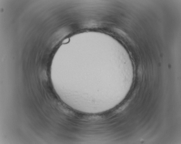 X0000076251209200610261932