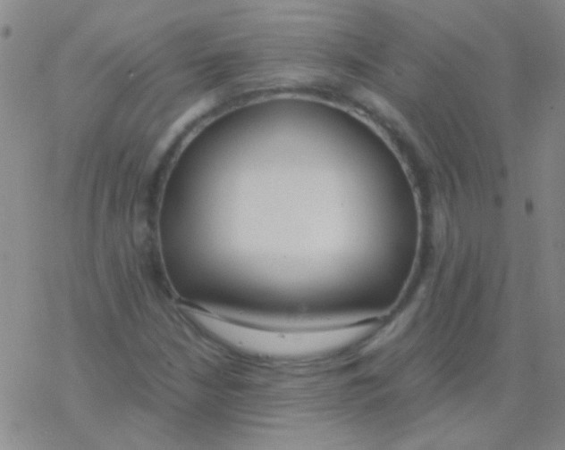 X0000076251210200610261932