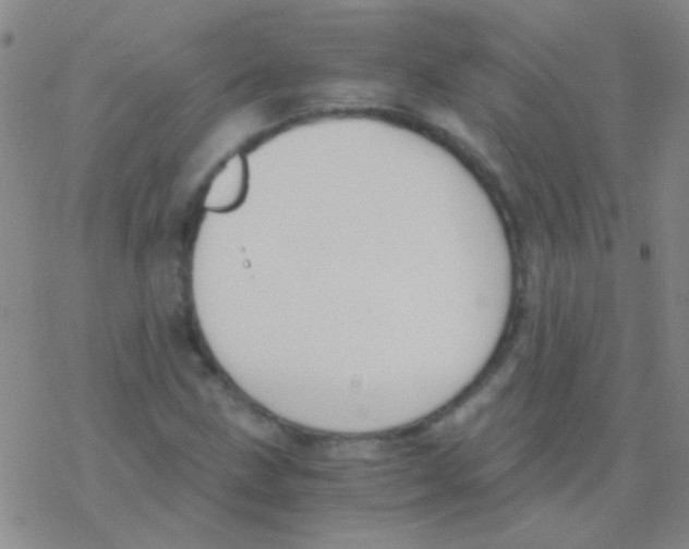 X0000076251211200610261932