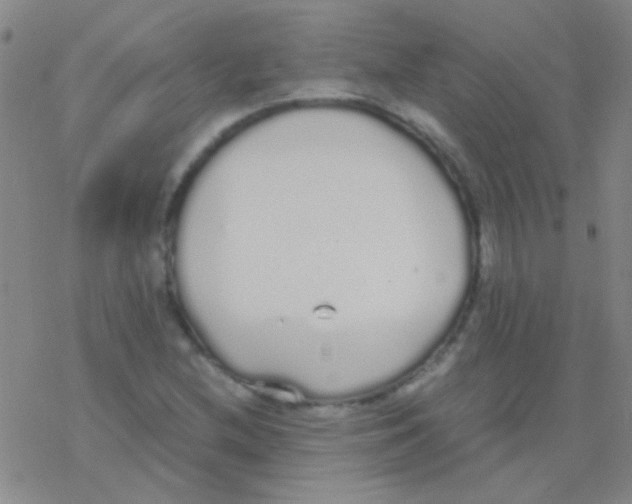 X0000076251212200610261932