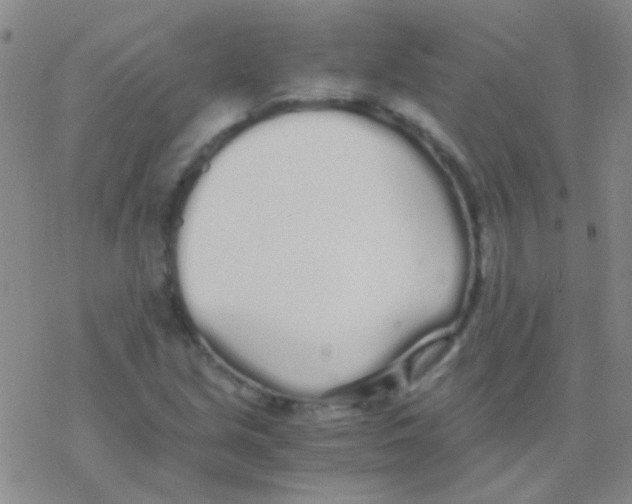 X0000076251213200610261932