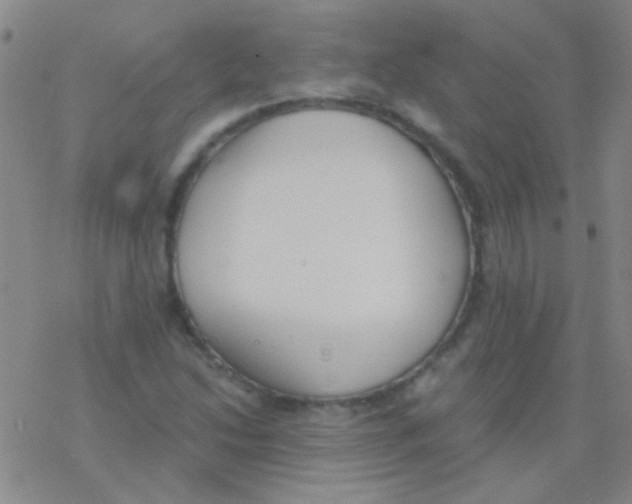 X0000076251214200610261932