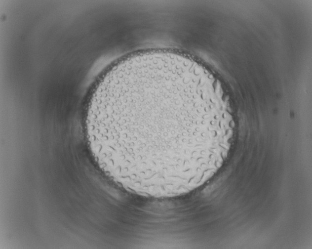 X0000076251215200610261932