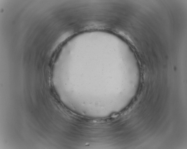 X0000076251219200610261932