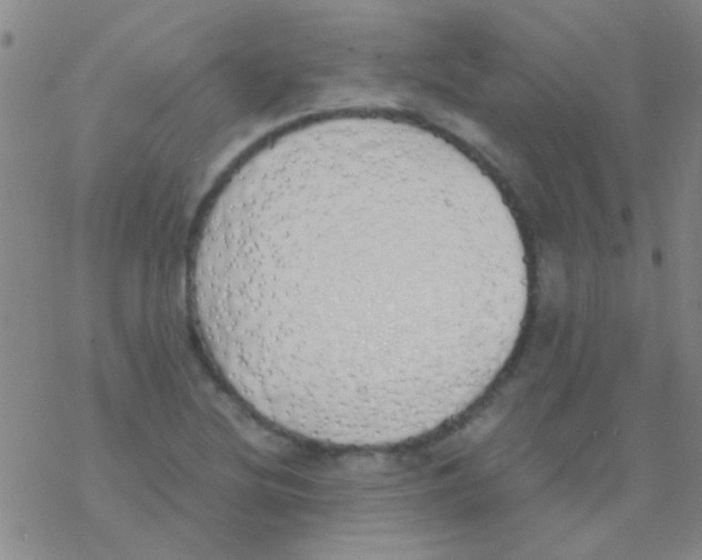 X0000076251220200610261932