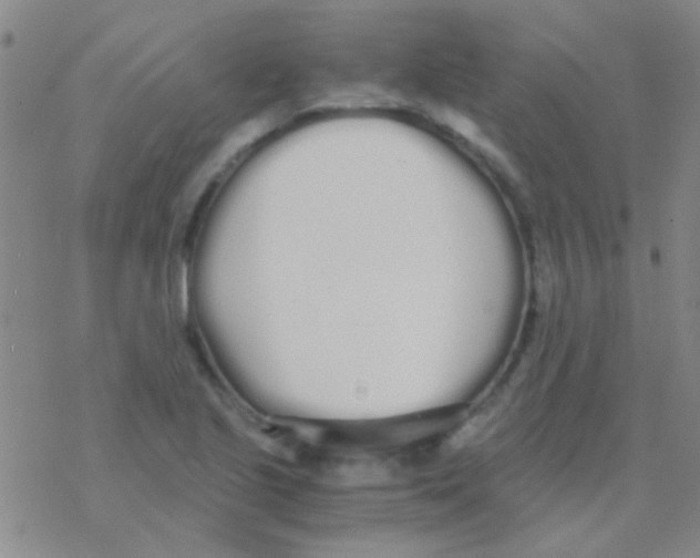 X0000076251221200610261932