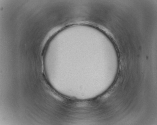 X0000076251223200610261932