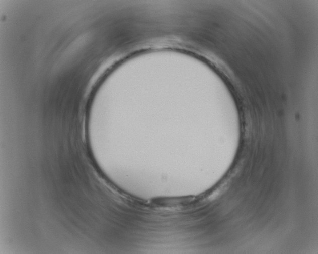 X0000076251224200610261932