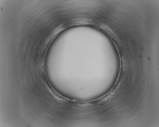 X0000076251225200610261932