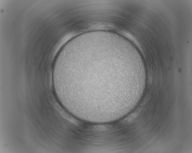 X0000076251227200610261932