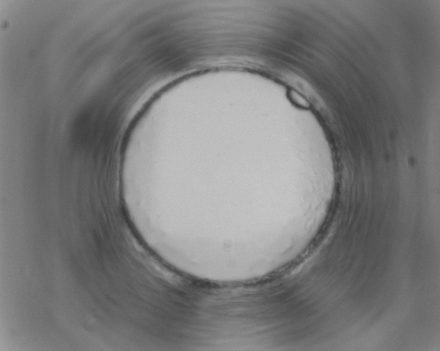 X0000076251228200610261932