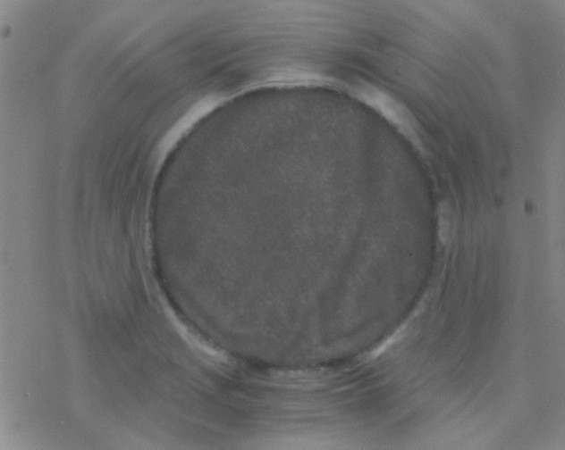 X0000076251229200610261932