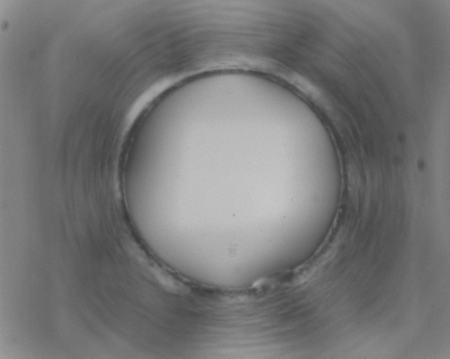 X0000076251230200610261932