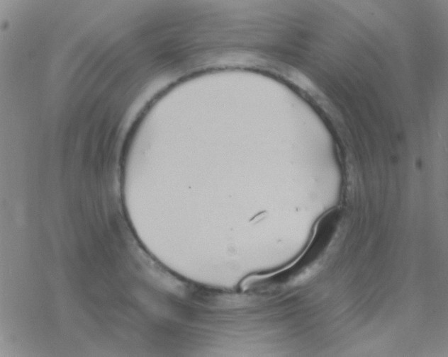 X0000076251232200610261932