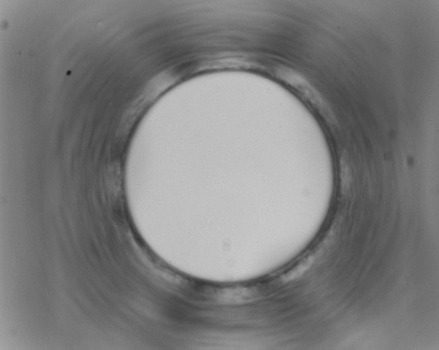 X0000076251233200610261932