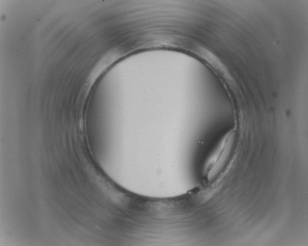 X0000076251234200610261932