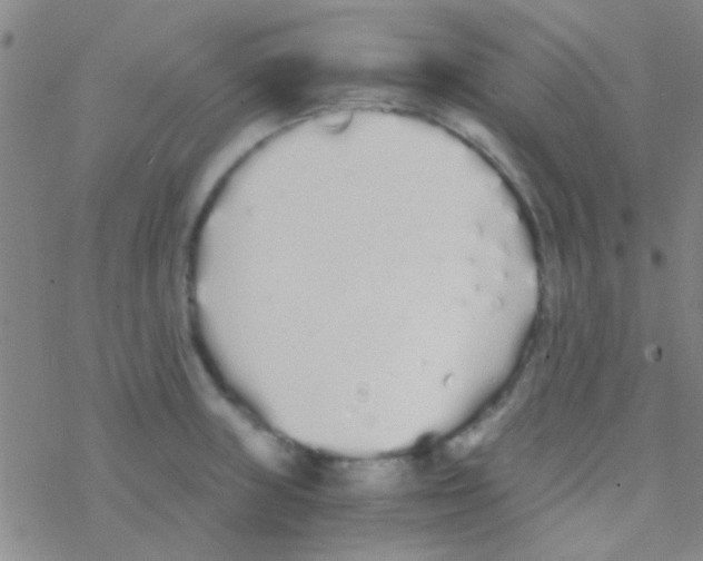 X0000076251235200610261932