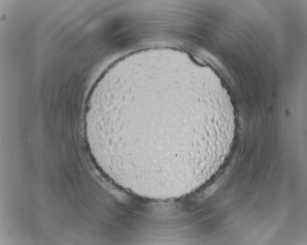 X0000076251236200610261932