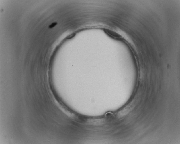 X0000076251237200610261932