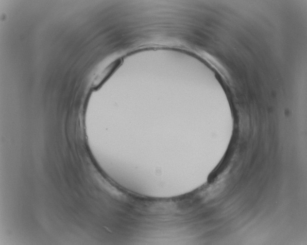 X0000076251238200610261932