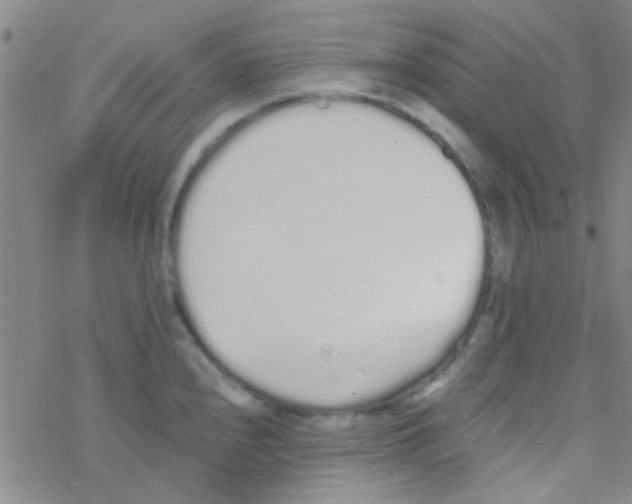 X0000076251240200610261932