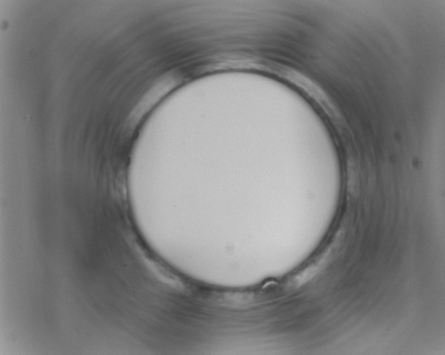 X0000076251241200610261932