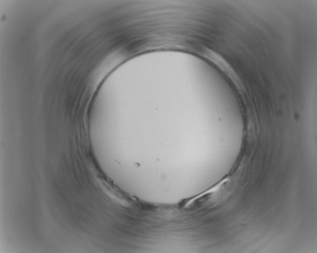 X0000076251242200610261932