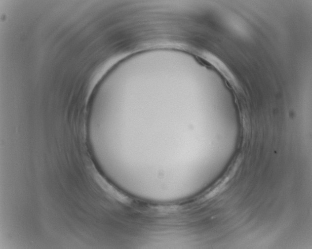 X0000076251244200610261932