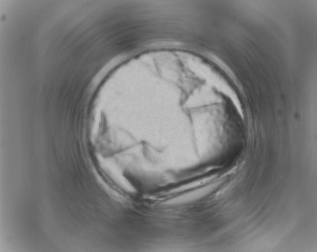 X0000076251245200610261932