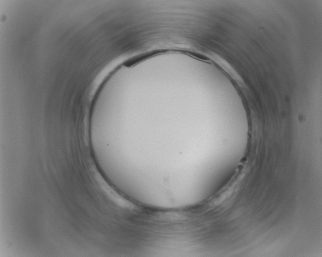 X0000076251246200610261932