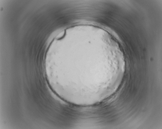 X0000076251247200610261932