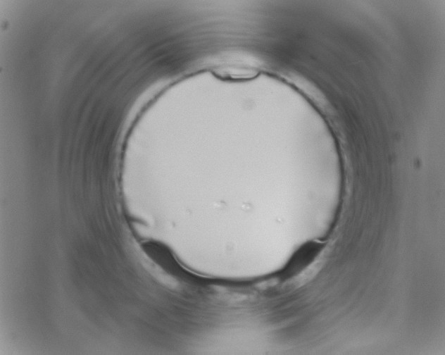 X0000076251248200610261932