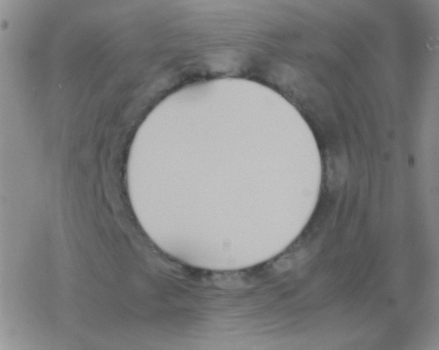 X0000076251249200610261931