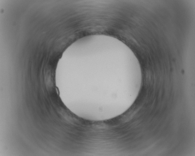 X0000076251250200610261931