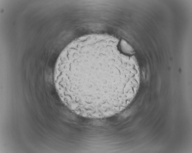 X0000076251251200610261931