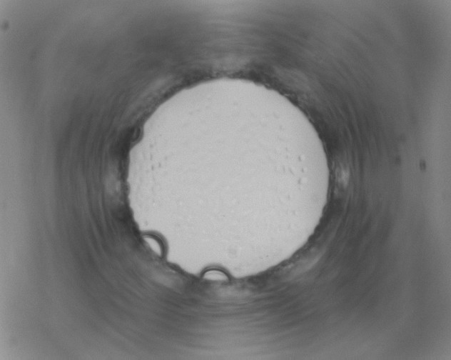 X0000076251252200610261931