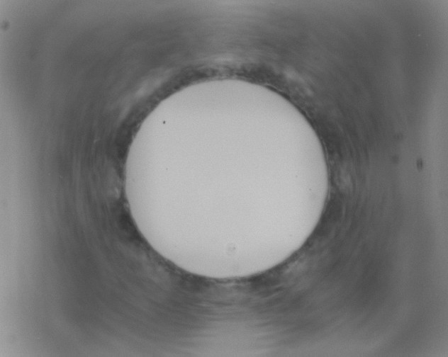 X0000076251253200610261931