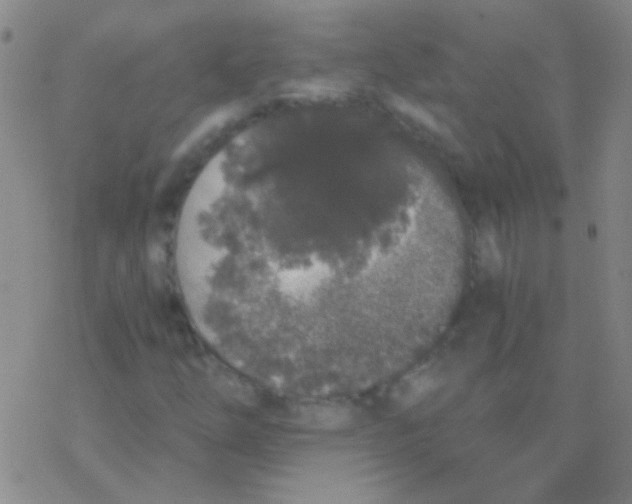 X0000076251254200610261931