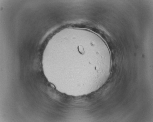 X0000076251256200610261931