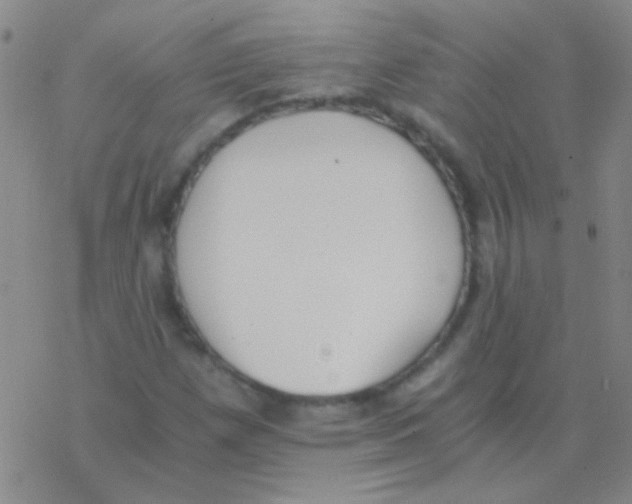 X0000076251257200610261931