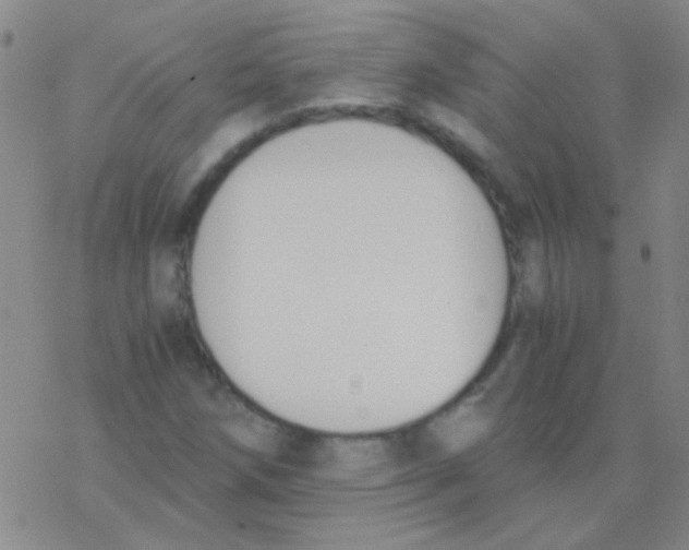 X0000076251258200610261931